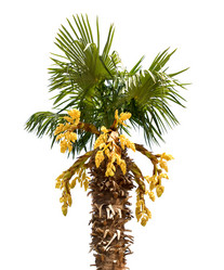 Similar image 430574