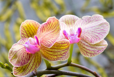 Similar image 430578