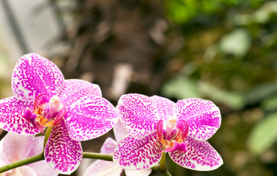 Similar image 430581