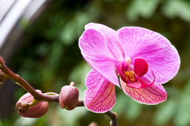 Similar image 430582