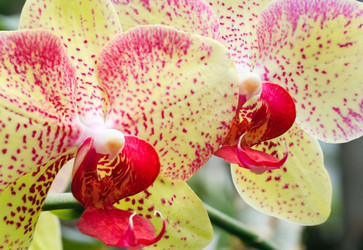 Similar image 430586