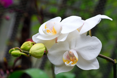 Similar image 430598