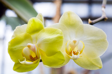 Similar image 430599