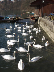 Similar image 430600