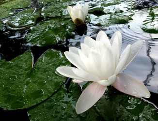 Similar image 430610