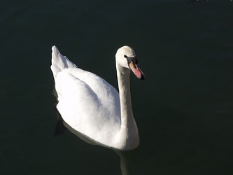 Similar image 430612