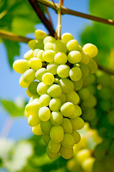 Similar image 430703