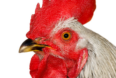 Similar image 430771