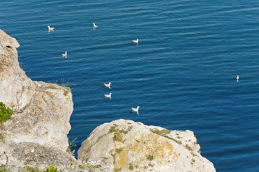 Similar image 430801