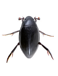 Similar image 430814