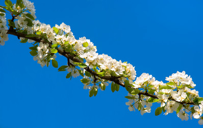 Similar image 430816