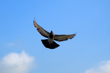 Similar image 430828