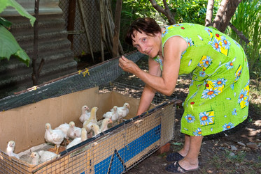 Similar image 430835