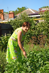 Similar image 430839