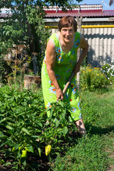 Similar image 430840