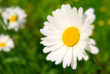 Similar image 430846