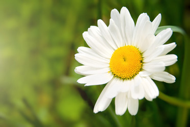 Similar image 430849