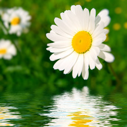 Similar image 430852