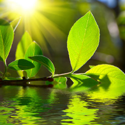 Similar image 430863