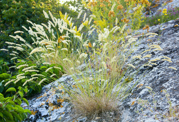 Similar image 430892