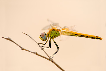 Similar image 430969