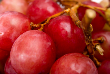 Similar image 430971