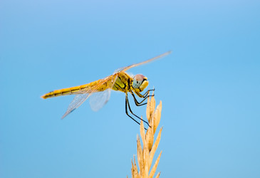 Similar image 430978