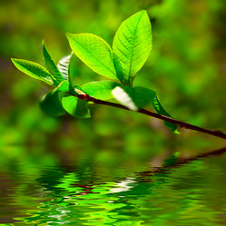 Similar image 431113