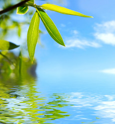 Similar image 431114