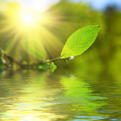 Similar image 431117