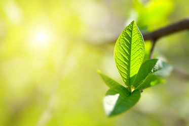 Similar image 431119