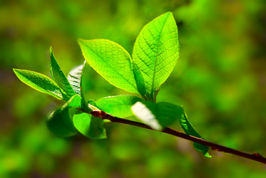 Similar image 431122