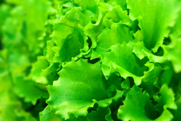 Similar image 431193