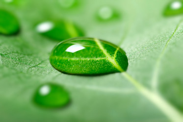 Similar image 431204