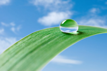 Similar image 431205