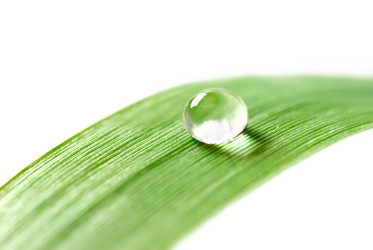 Similar image 431206