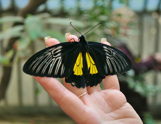 Similar image 431271