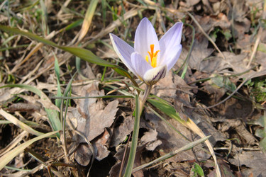 Similar image 431319