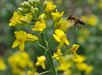 Similar image 431322