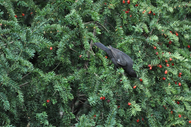 Similar image 431328