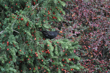 Similar image 431329