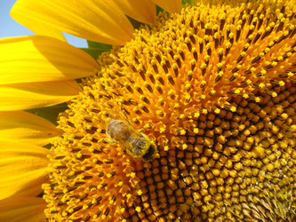 Similar image 431330