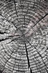 Similar image 431378