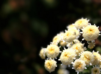 Similar image 431514