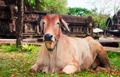 Similar image 431518