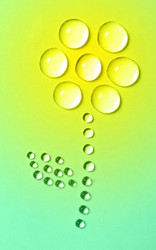 Similar image 431525