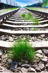 Similar image 431547