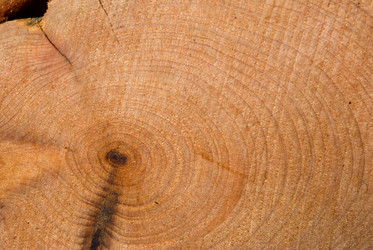 Similar image 431551