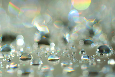 Similar image 431561