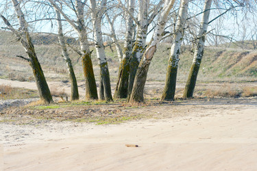 Similar image 431644